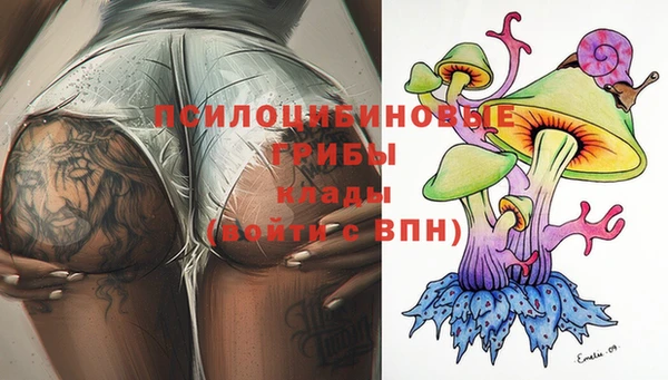 амф Нефтегорск